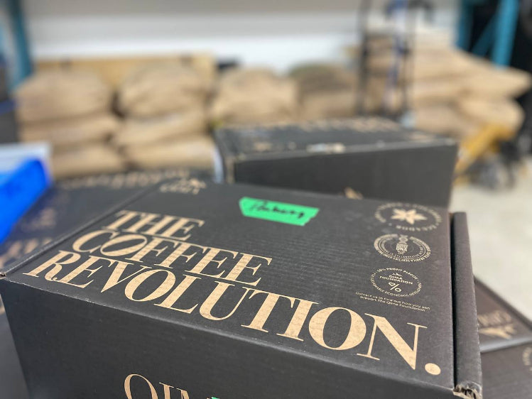 Small and unique: the Peaberry