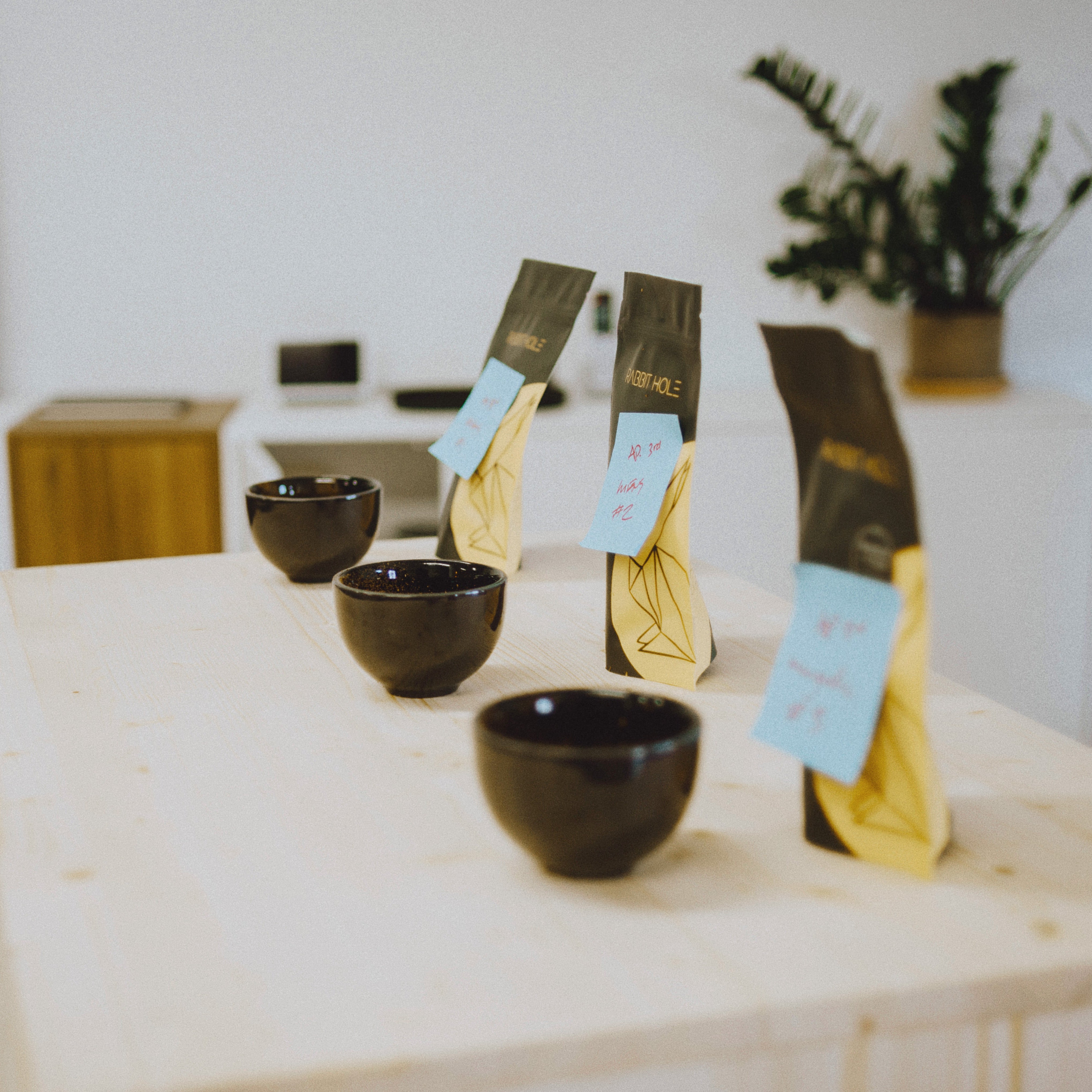 Specialty coffee cupping setup following the SCA protocol at Rabbit Hole Roasters in Montreal, featuring multiple coffees and tasting bowls. It is an immersive, all-level session focused on learning specialty coffee through a guided tasting class.