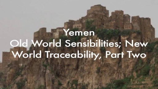 Return to Origin: Yemen, Part Two